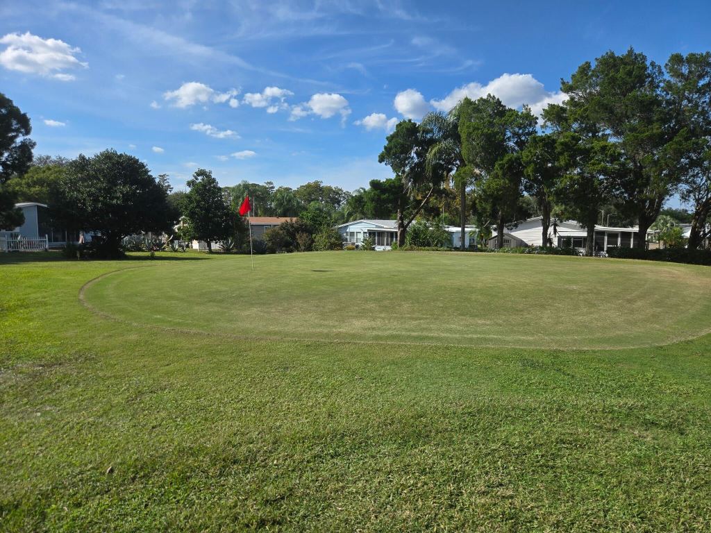 Golf course green with trees
